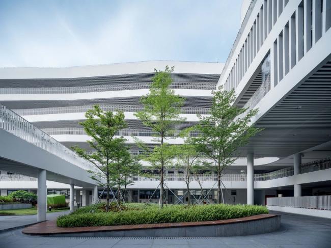 BIM建筑|深圳前海三小 (荔湾小学) / 深圳年夜学建筑设计研讨院·元本体工作室