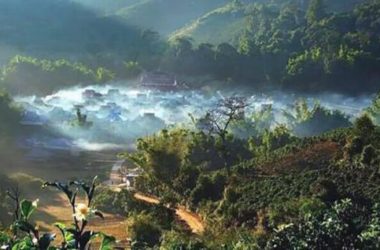 BIM建筑|梦幻的彩云之南创作系列——199.9米西双版纳孔雀城 / 纲亚建筑+本土实践(广州）-BIM建筑网