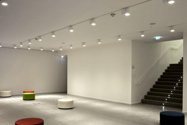 BIM建筑|拉内罗藏书楼 / 安德烈•马菲建筑事务所