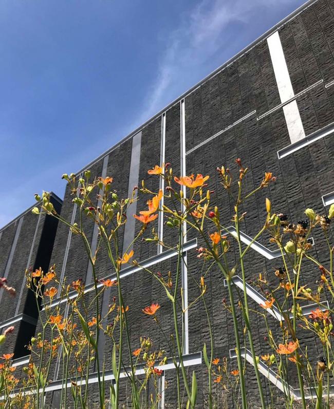 BIM建筑|回溯五千年前的人类文明：台南史前博物馆 / 姚仁喜 | 年夜元建筑工厂