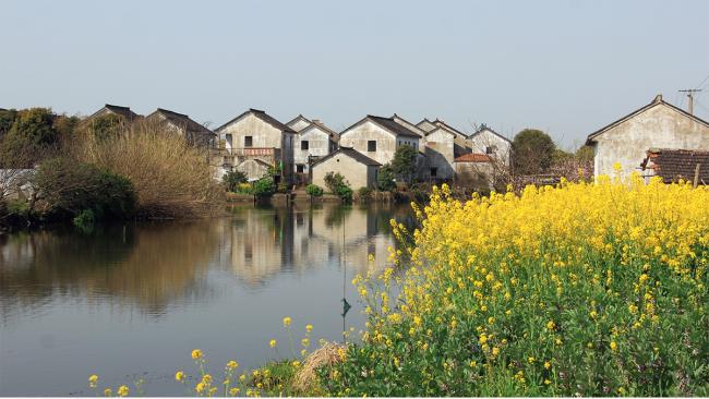 BIM建筑|家的延长：云锦路运动之家 / 山川秀建筑事务所