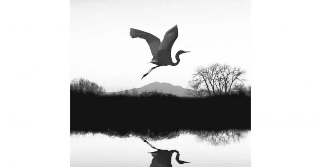 BIM建筑|LAD天然建筑计划：美发生于不成思议的自然力