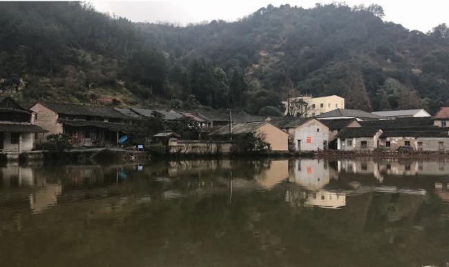 BIM建筑|剪纸艺坊&伴湖书吧 / 杭州森上建筑设计