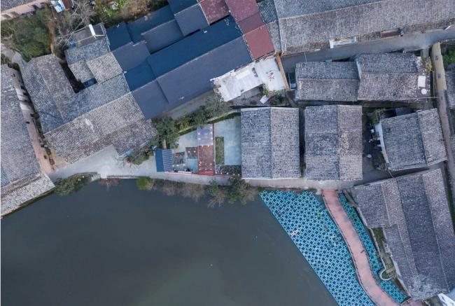 BIM建筑|剪纸艺坊&伴湖书吧 / 杭州森上建筑设计