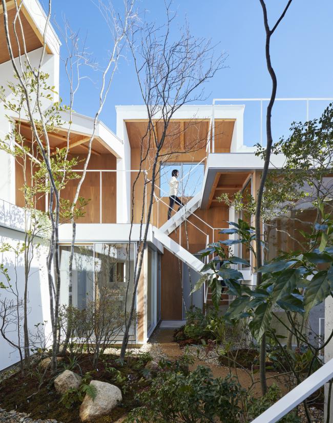 BIM建筑|城市中的山谷花圃室第 / 畑友洋建筑设计事务所