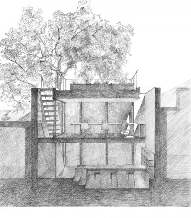BIM建筑|樹院 / 兼建筑