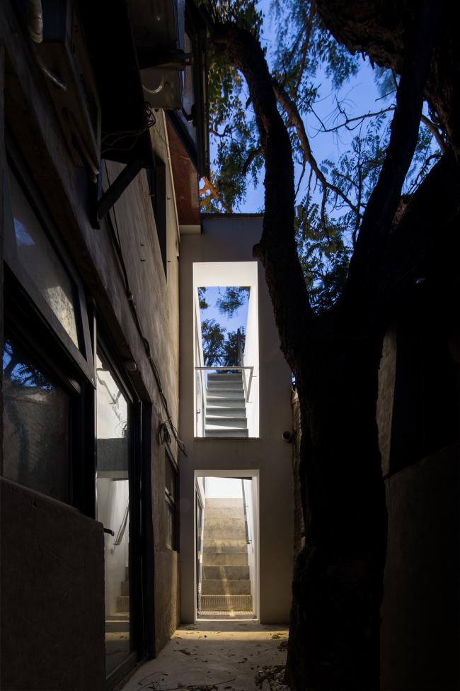 BIM建筑|樹院 / 兼建筑