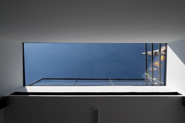 BIM建筑|樹院 / 兼建筑