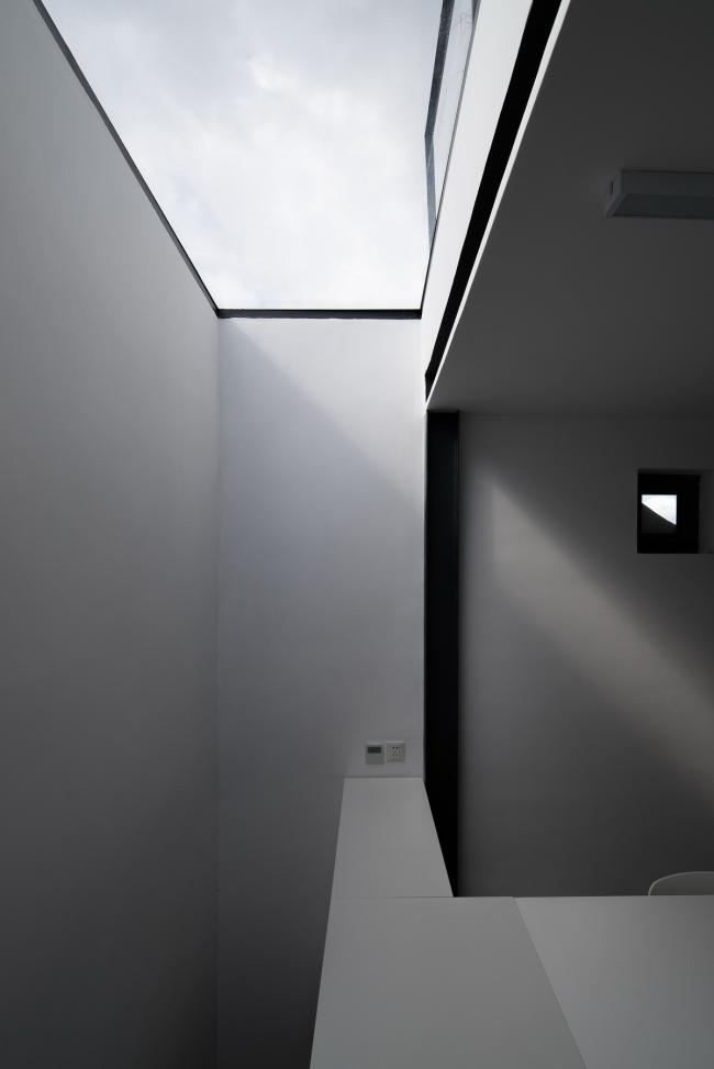 BIM建筑|樹院 / 兼建筑