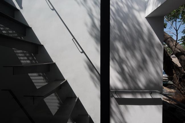 BIM建筑|樹院 / 兼建筑