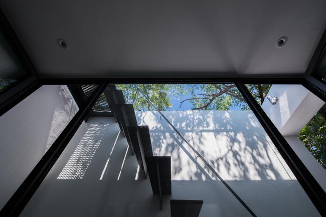 BIM建筑|樹院 / 兼建筑