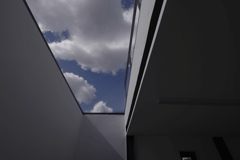 BIM建筑|樹院 / 兼建筑