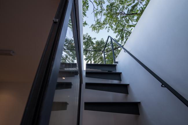 BIM建筑|樹院 / 兼建筑