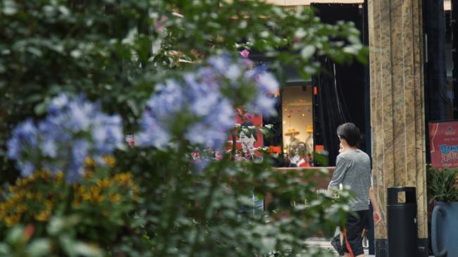 BIM建筑|社区营造 I 丛林里的街区——建发鹭洲里 / 基准方中建筑设计