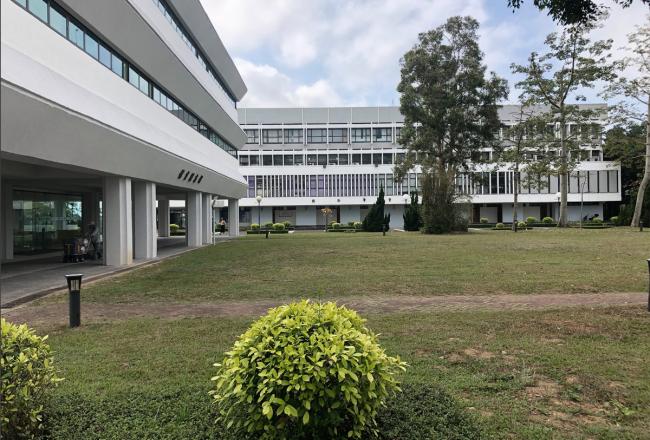 BIM建筑|喷鼻港中文年夜学结合书院宿舍楼设计（比赛计划） / AG汇创国际