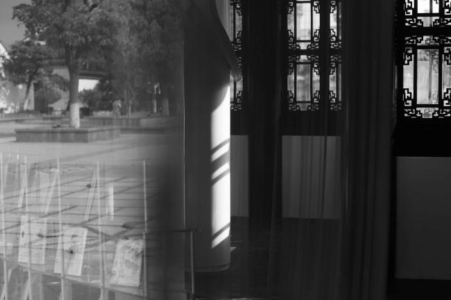 BIM建筑|将来书店 / Mur Mur Lab