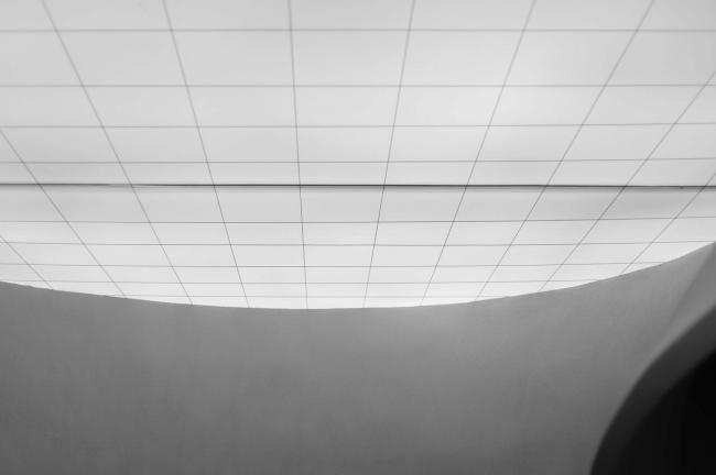 BIM建筑|将来书店 / Mur Mur Lab