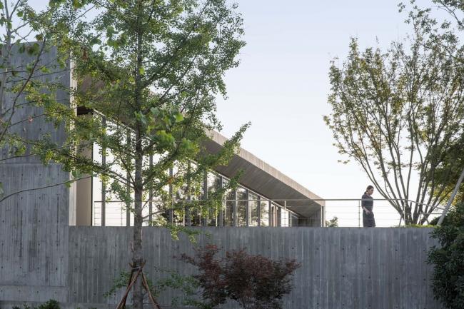 BIM建筑|普罗幻想国艺术文化中间 / 建言建筑