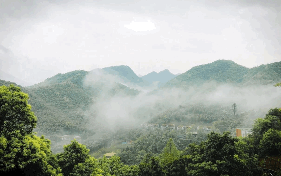 BIM建筑|郊野之际,自有炊火人世:宁海安岚 / 上海骏地建筑设计 BIM建筑|郊野之际,自有炊火人世:宁海安岚 / 上海骏地建筑设计