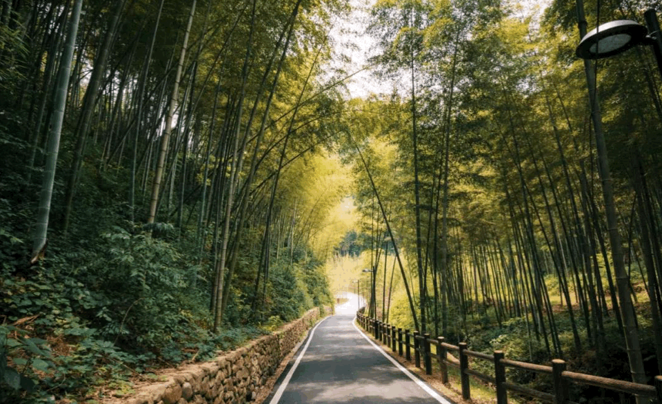 BIM建筑|郊野之际,自有炊火人世:宁海安岚 / 上海骏地建筑设计 BIM建筑|郊野之际,自有炊火人世:宁海安岚 / 上海骏地建筑设计