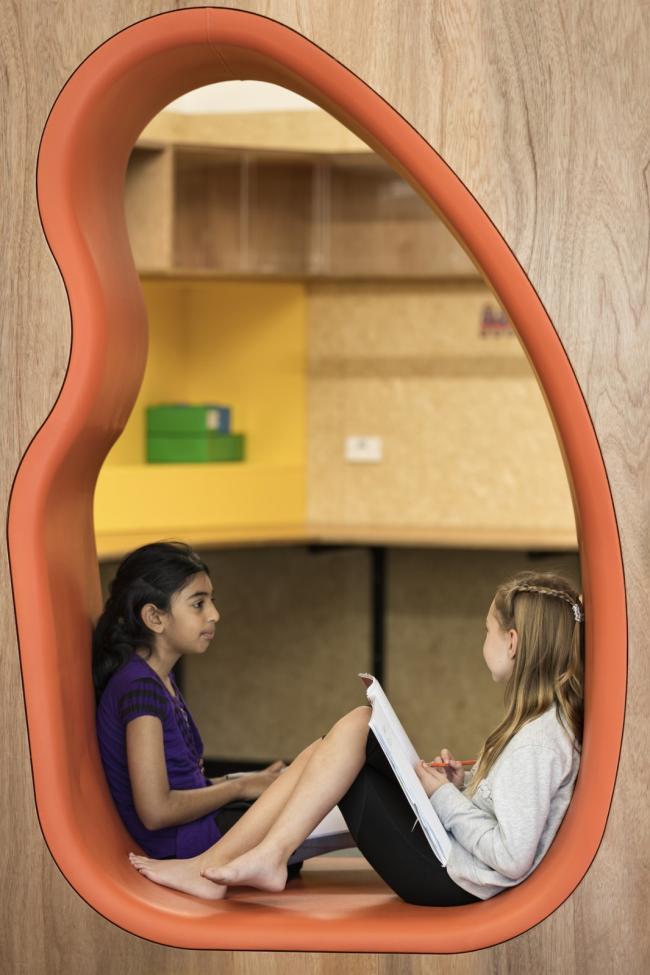 BIM建筑|弗里曼海湾黉舍，新西兰 / RTA Studio