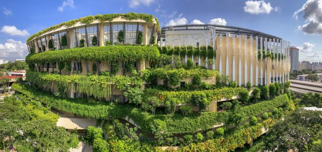 BIM建筑|“丛林”里的公共社区：勿洛心动年夜厦 / ONG&ONG