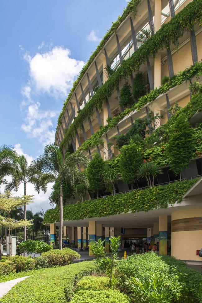 BIM建筑|“丛林”里的公共社区：勿洛心动年夜厦 / ONG&ONG