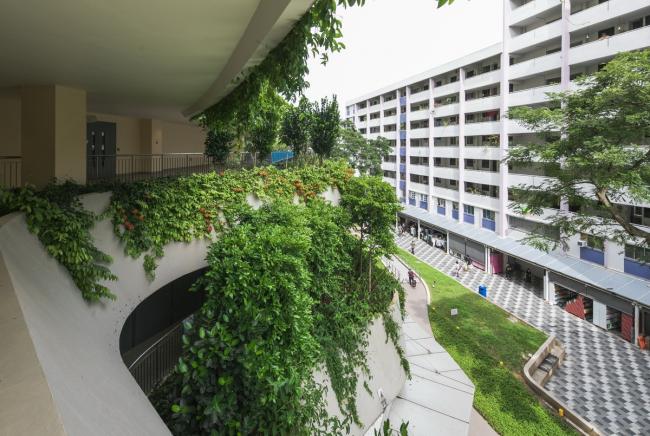 BIM建筑|“丛林”里的公共社区：勿洛心动年夜厦 / ONG&ONG