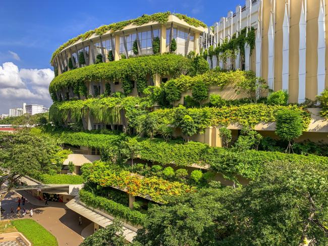 BIM建筑|“丛林”里的公共社区：勿洛心动年夜厦 / ONG&ONG