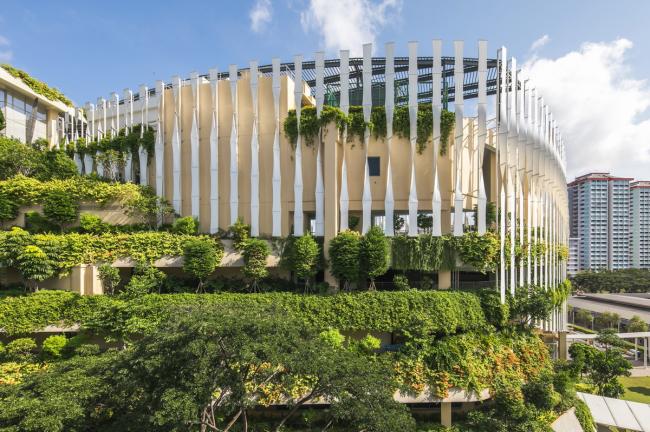 BIM建筑|“丛林”里的公共社区：勿洛心动年夜厦 / ONG&ONG