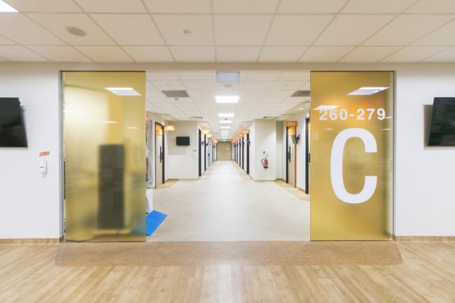 BIM建筑|“丛林”里的公共社区：勿洛心动年夜厦 / ONG&ONG