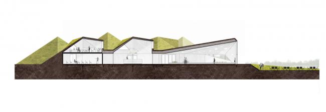 BIM建筑|湿地景不雅里的年夜地艺术雕塑：荷兰 Biesbosch 博物馆岛 / Studio Marco Vermeulen