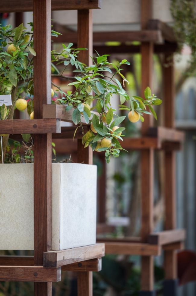 BIM建筑|介入农业轮回的零碳藏书楼：Vac 藏书楼 / Farming Architects