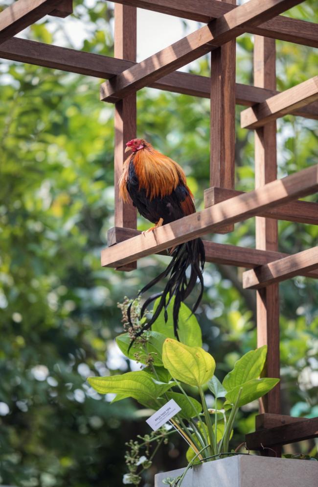 BIM建筑|介入农业轮回的零碳藏书楼：Vac 藏书楼 / Farming Architects
