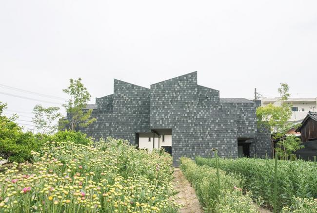 BIM建筑|栖于枝梢——日本MK公寓 / 1-1 architects-BIM建筑网