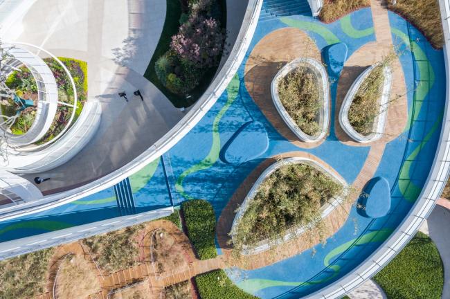 BIM建筑|立体流动的花园——旭辉甜甜圈幼儿园 / 天华建筑创作工作室