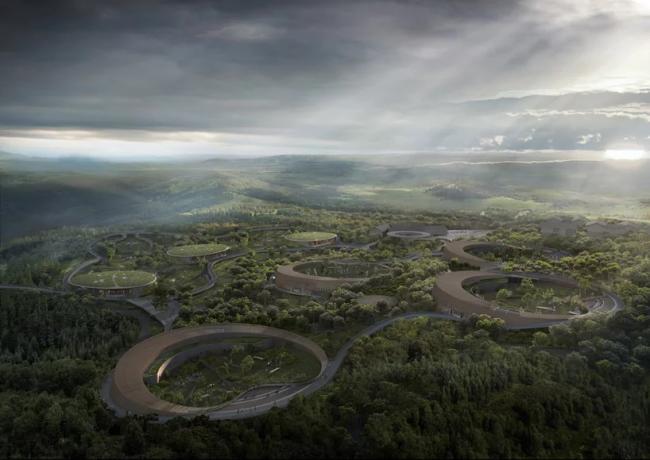 BIM建筑|成都大熊猫国际研究与繁育中心熊猫馆方案 / EID建筑事务所