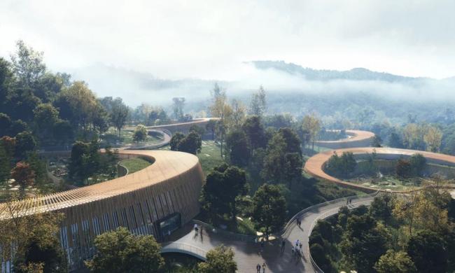 BIM建筑|成都大熊猫国际研究与繁育中心熊猫馆方案 / EID建筑事务所