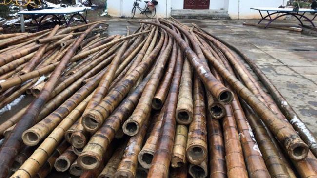 BIM建筑|悬岸飞桥 / 来建筑设计工作室