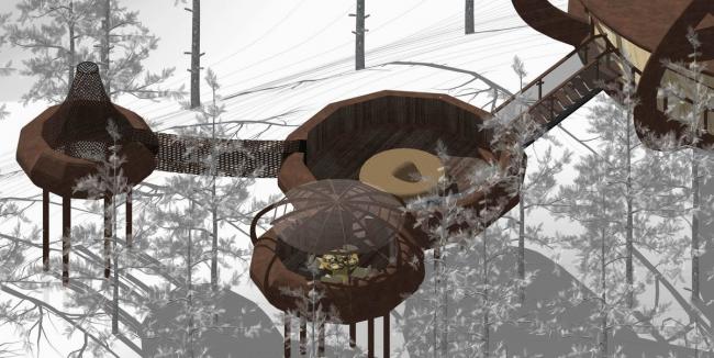 BIM建筑|仿佛丛林里的探险奇遇：安徽齐云山自由家树屋“飞碟” / 境澜建筑