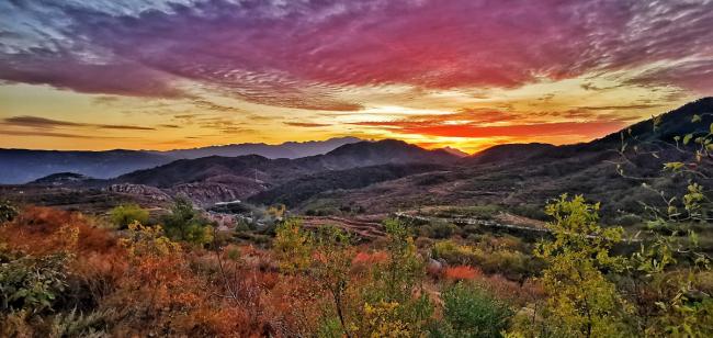 BIM建筑|悬浮的“云朵”：泰山九女峰书房 / gad · line+ studio