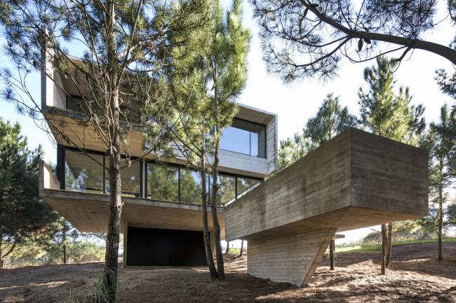 BIM建筑|光影婆娑，如木石般朴实的林间住宅 / Luciano Kruk