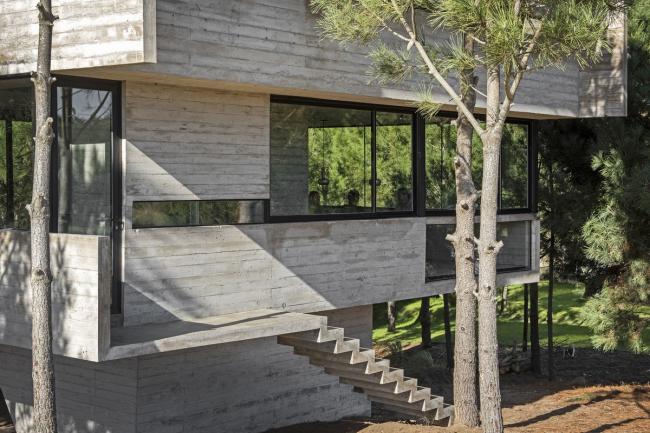 BIM建筑|光影婆娑，如木石般朴实的林间住宅 / Luciano Kruk