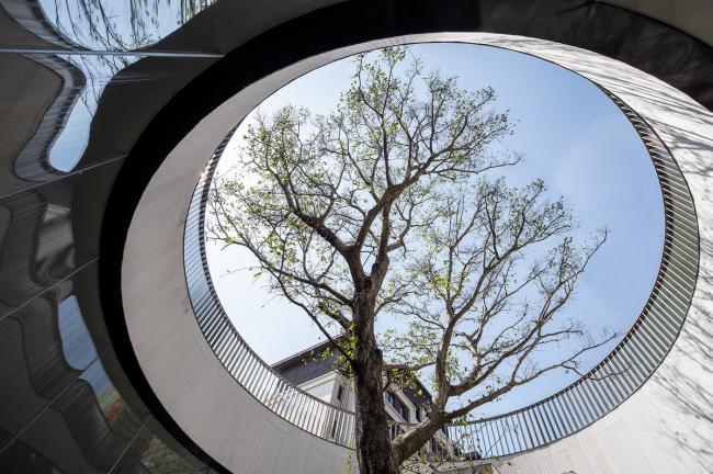 BIM建筑|湖泊下阅读,树影行过的时间 / 水相设计-BIM建筑网