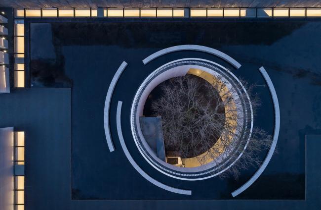 BIM建筑|湖泊下阅读，树影行过的时间 / 水相设计