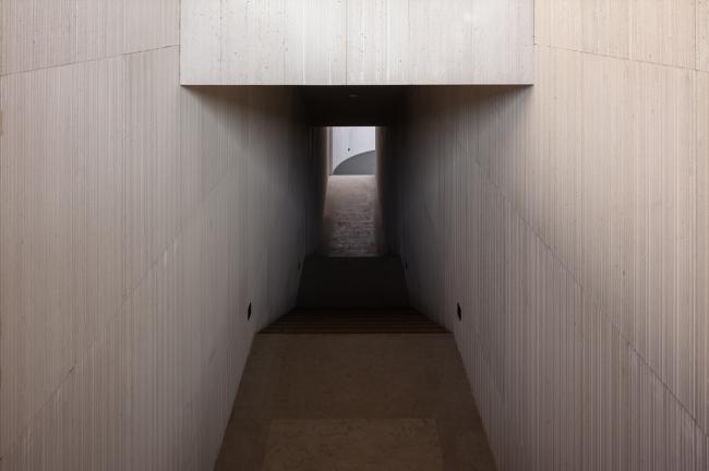 BIM建筑|湖泊下阅读，树影行过的时间 / 水相设计