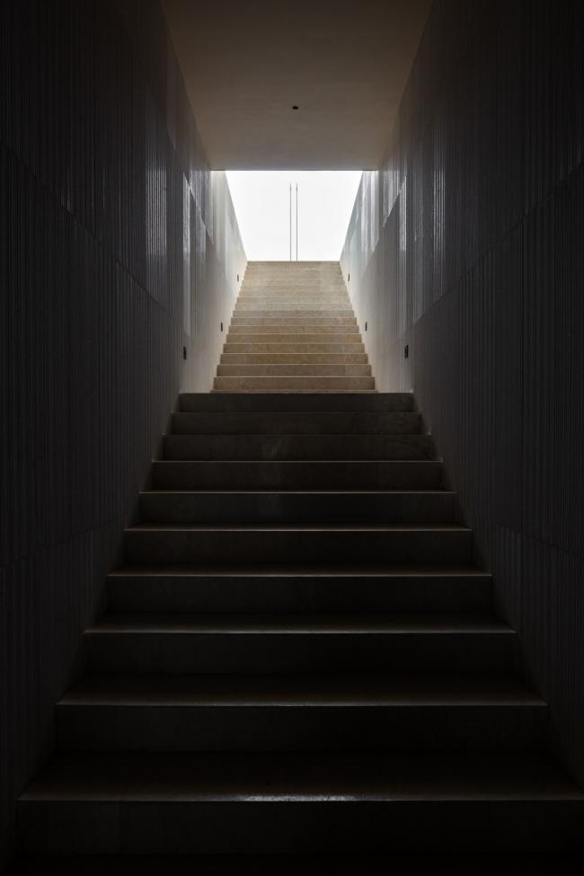 BIM建筑|湖泊下阅读，树影行过的时间 / 水相设计