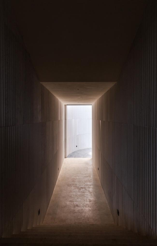 BIM建筑|湖泊下阅读，树影行过的时间 / 水相设计