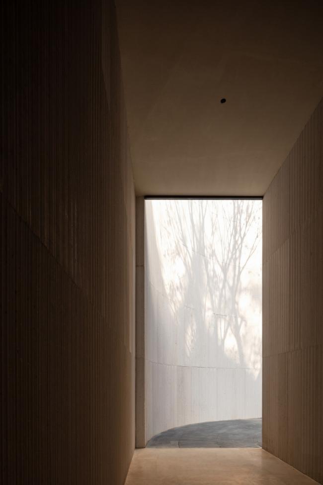 BIM建筑|湖泊下阅读，树影行过的时间 / 水相设计