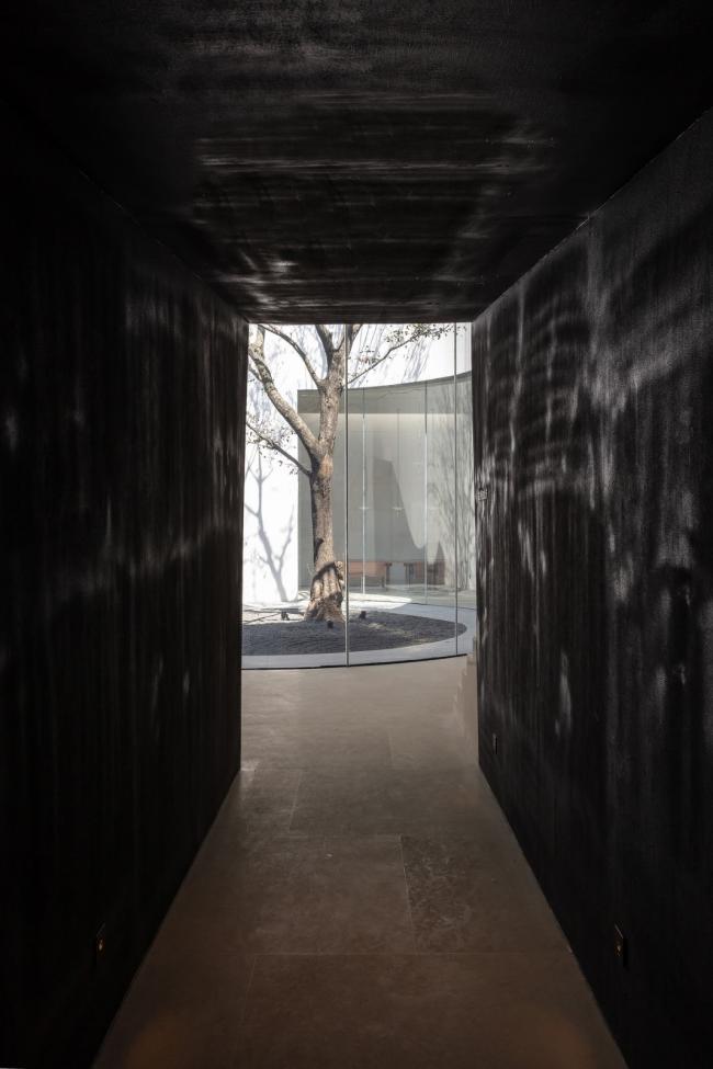 BIM建筑|湖泊下阅读，树影行过的时间 / 水相设计